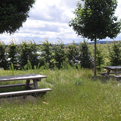 Aire de pique-nique de Serrigny