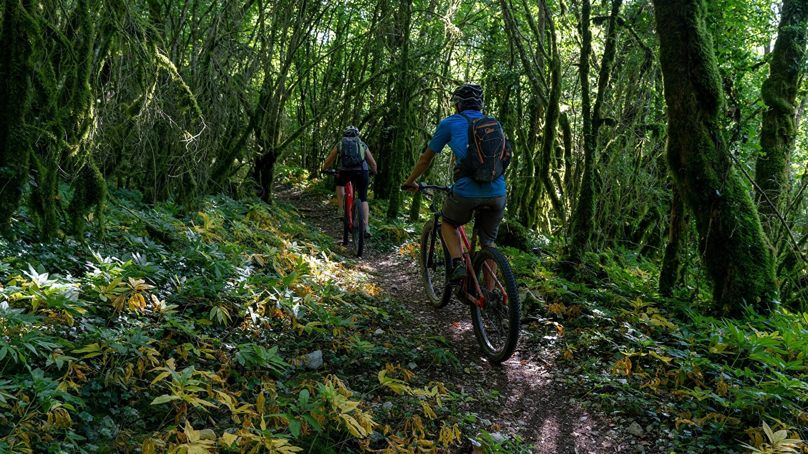 Le circuit Froide Fontaine - 109R