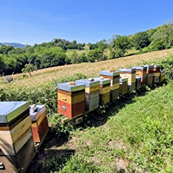 Les Coulisses du Terroir - Apiculteur - MATOUR