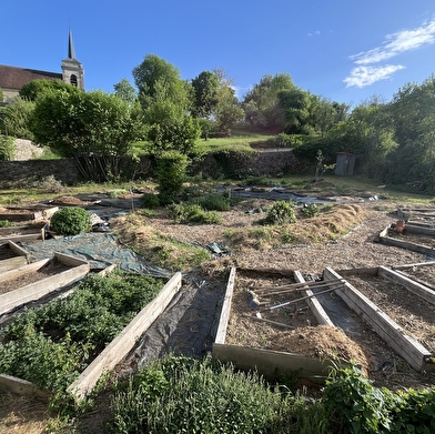 Visite et dégustation de spiritueux locaux