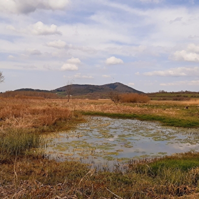 Parcours VTT 54 bleu - Aranc et les Hauts d'Evosges - Espace FFC Ain Forestière