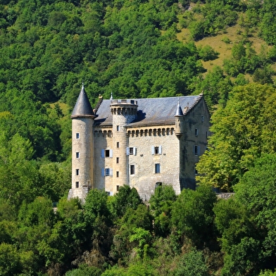 Circuit vélo : Marais de Lavours et vignobles du Bugey
