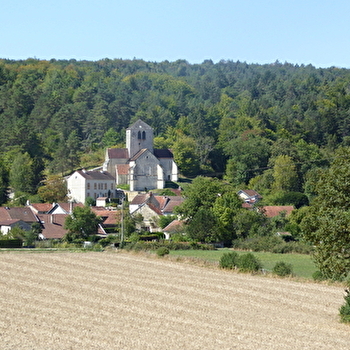 Les Ormeaux - NOIRON-SUR-SEINE