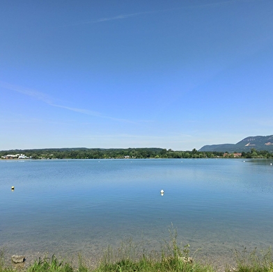 Sentier des anciens méandres du Rhône (ENS de l'Ain)