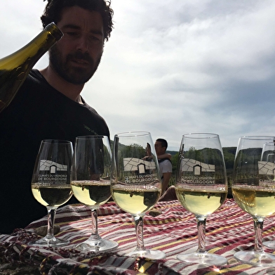 Balade à vélo dans les Crémants de Bourgogne