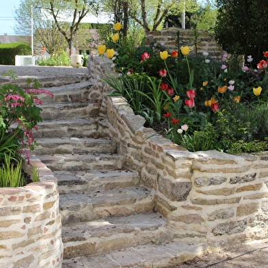 Camping Les Premières Vignes