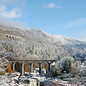 Ligne des hirondelles - Hiver 2026 - DOLE