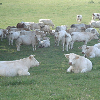 La Ferme de Marcel - VALDAHON