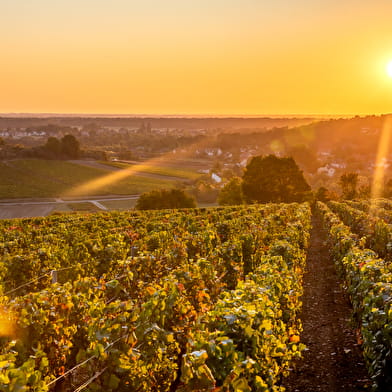 Pillot Romain et Simon