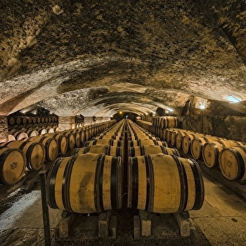 Festival de Bach à Bacchus - Visite des caves du Château de Meursault et dégustation  - MEURSAULT