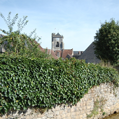 Chemin des écrivains : Romain Rolland