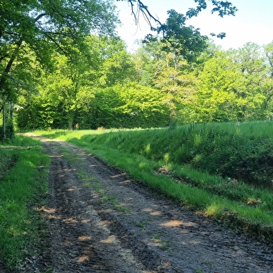 Circuit Gravel n°24 (rouge) - La St Martin