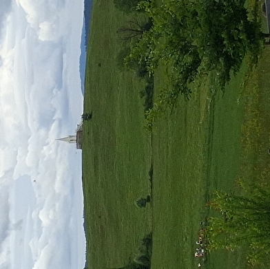 Le Grand-Bois - n° 111