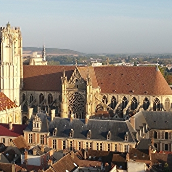 Ils s’aiment… ou pas - SENS