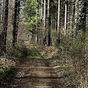Balade Verte - La promenade de l'Ermite (MSJ 2) - LA MOTTE-SAINT-JEAN