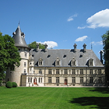 Château de Montigny-sur-Aube - MONTIGNY-SUR-AUBE