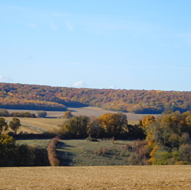 Bocages et paysages 