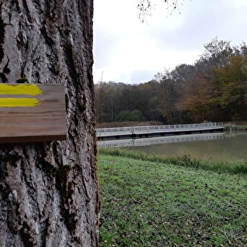 Randonnée - Coligny et l'Etang de Fougemagne - COLIGNY