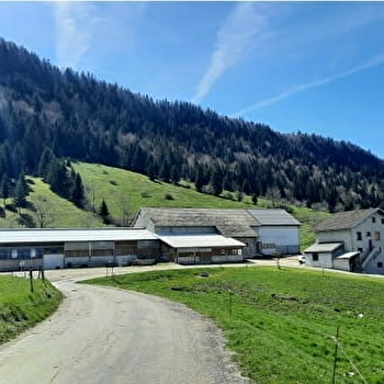 Gîte des Flocons - MORBIER