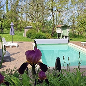 Les Divines Bourgogne - LA ROCHEPOT