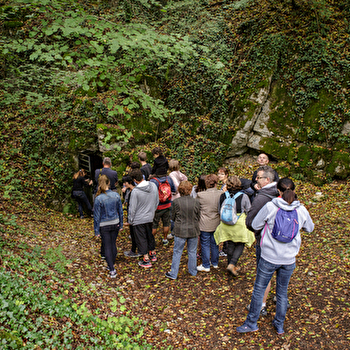 Promenade de la forêt du Mont - BELFORT