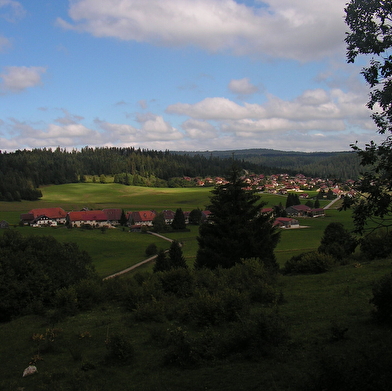 Le berger des vaches