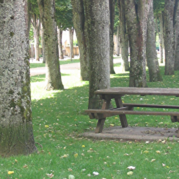 Aire de pique-nique de l'Allée des Tilleuls - SAVIGNY-LES-BEAUNE