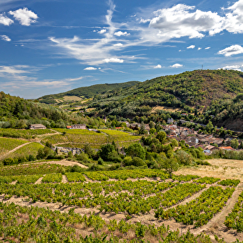Circuit VTT B1 de Beaujeu à Lantignié - BEAUJEU