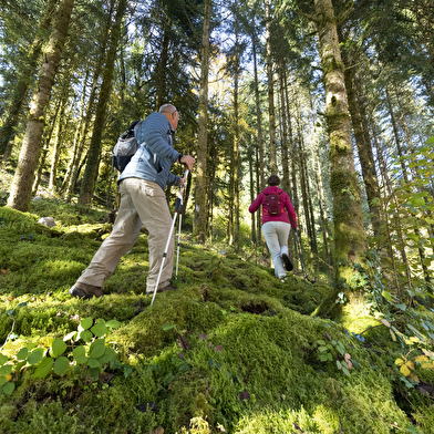 GR® de Pays Monts du Lomont