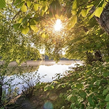 Espace naturel du Pont du Roi - SAINT-EMILAND