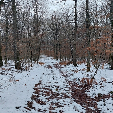 Le sentier de la p'tite maison