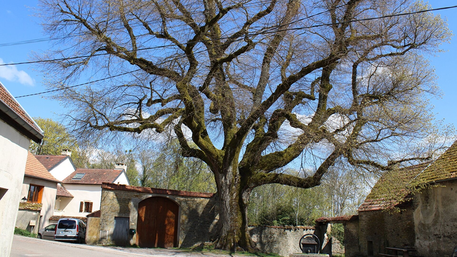 Aire de pique-nique de Collonges-lès-Bévy