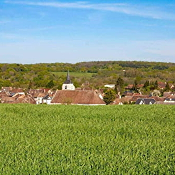  Regard sur la Forterre - TREIGNY-PERREUSE-SAINTE-COLOMBE