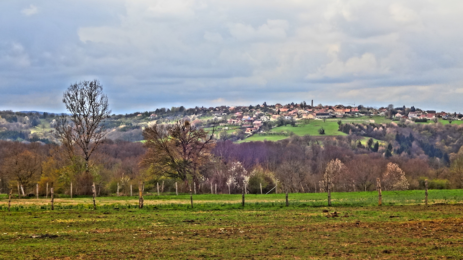 Le bois de Villars-sous-Écot et le Monument du Maquis