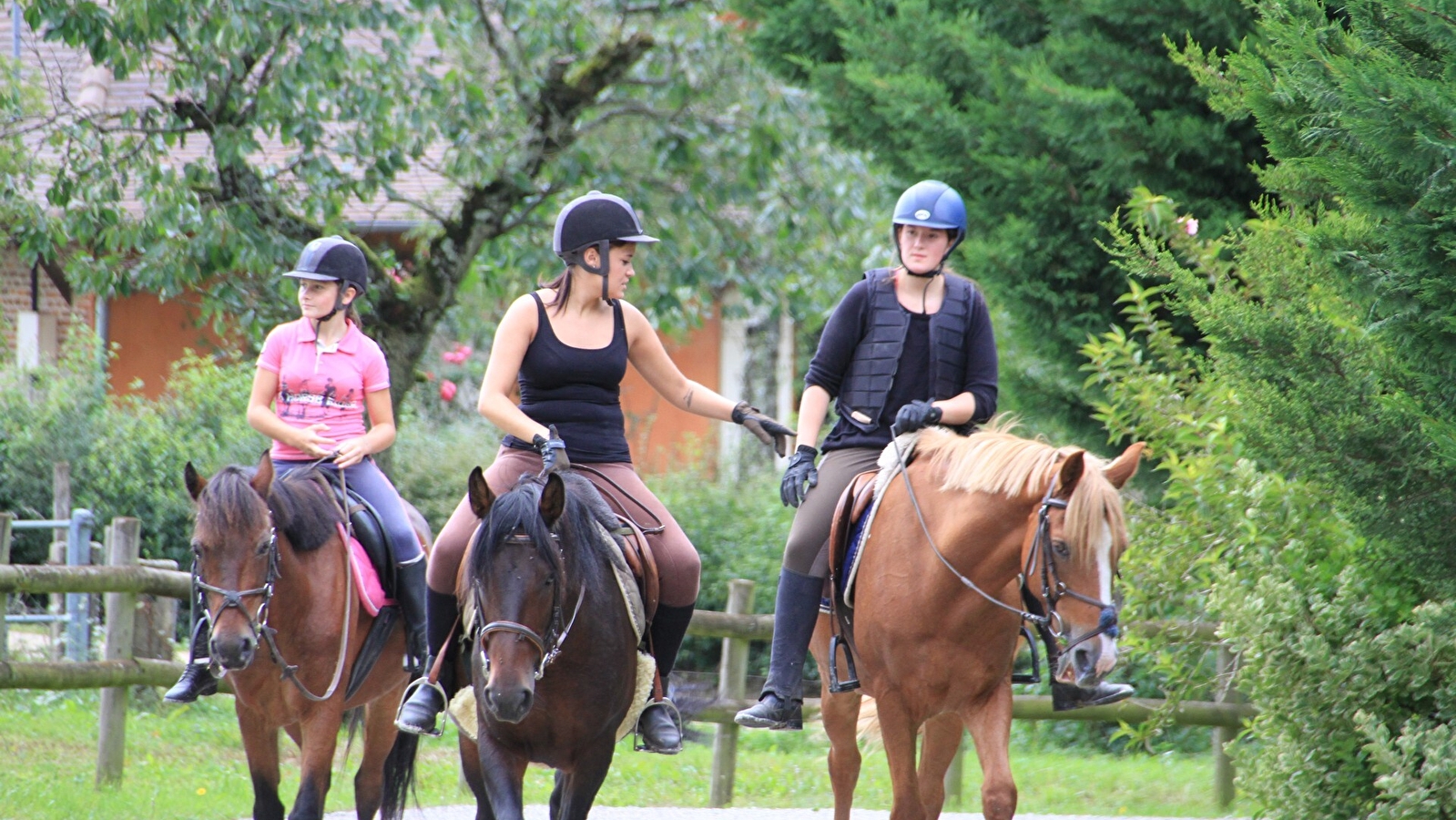 Ecuries des Marronniers