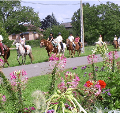 Domaine de la Loge - École d'équitation