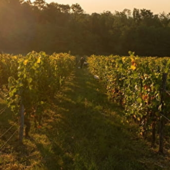 Circuit VTT n°18 Entre vignes et orchis - CHAMPLITTE