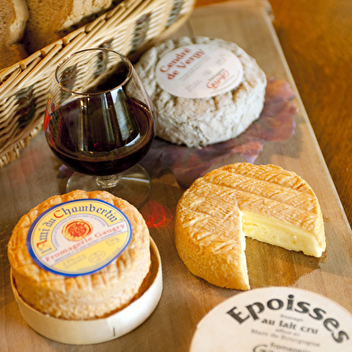 Une virée hautement gastronomique dans l’Auxerrois