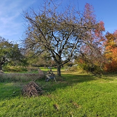 Chambres et table d'hôtes Maré