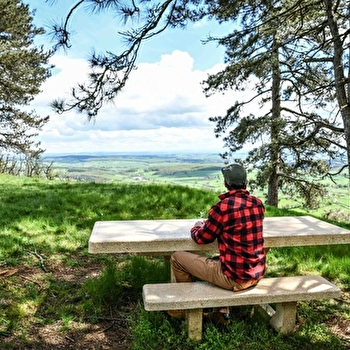 Aire de pique nique au sommet du Mont Dardon - UXEAU