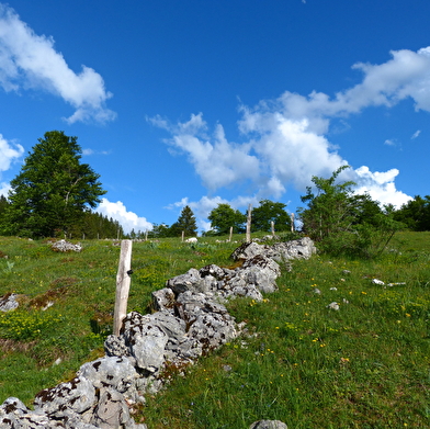 Sentier de la forêt du Massacre