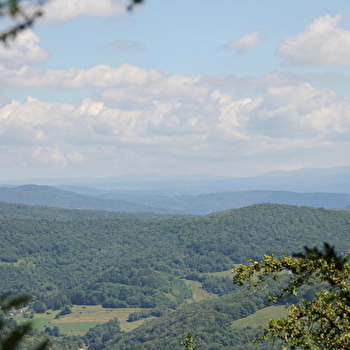 Le Mont Nivigne - VAL-REVERMONT