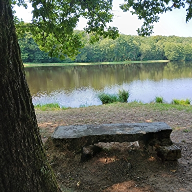 Site de pique nique à l'Etang des Monts Reveaux