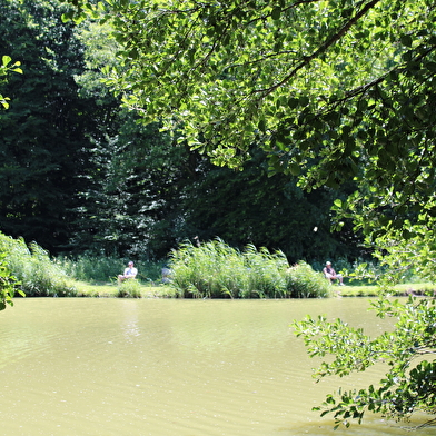 Les étangs des Princes