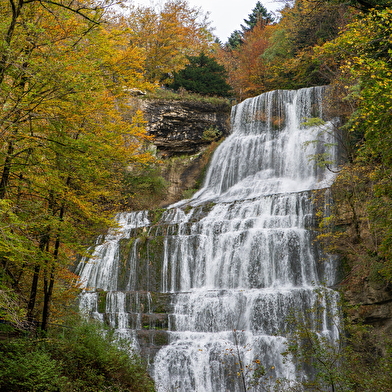 Les trésors du Jura