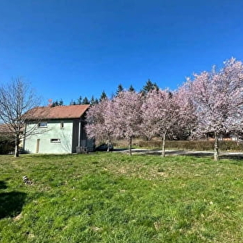 Les carnets de voyage - CHILLY-LE-VIGNOBLE