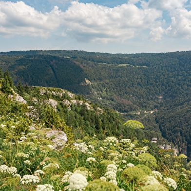 Les Grès de Septmoncel 