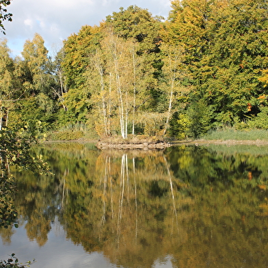 La Boucle des Bruyères