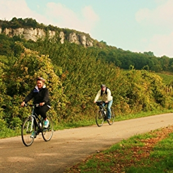 Active Tours - Journée vélo et vin en Côte de Beaune - BEAUNE