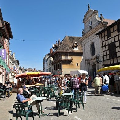 La Voie Bleue® Moselle Saône à Vélo - Etape Fleurville - Pont-de-Vaux - Mâcon